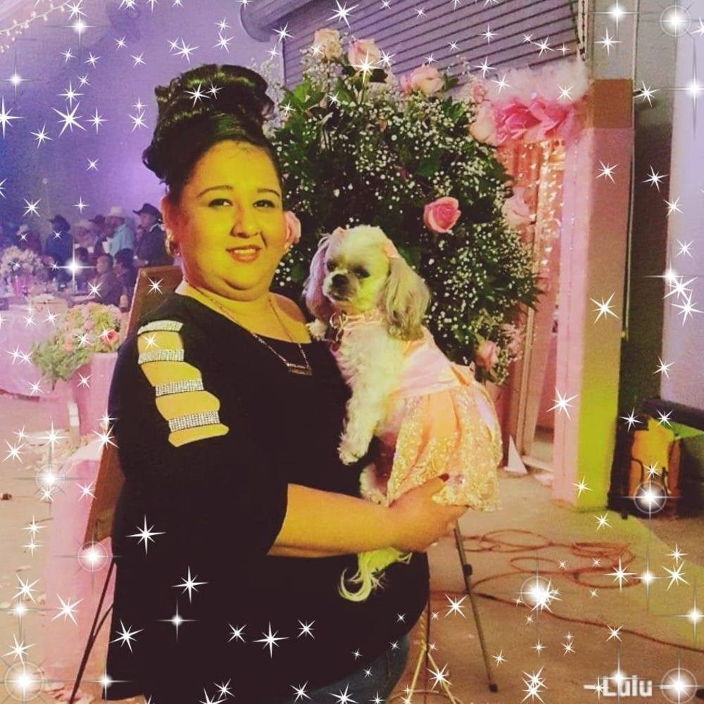 Meet your Posher, Lulu